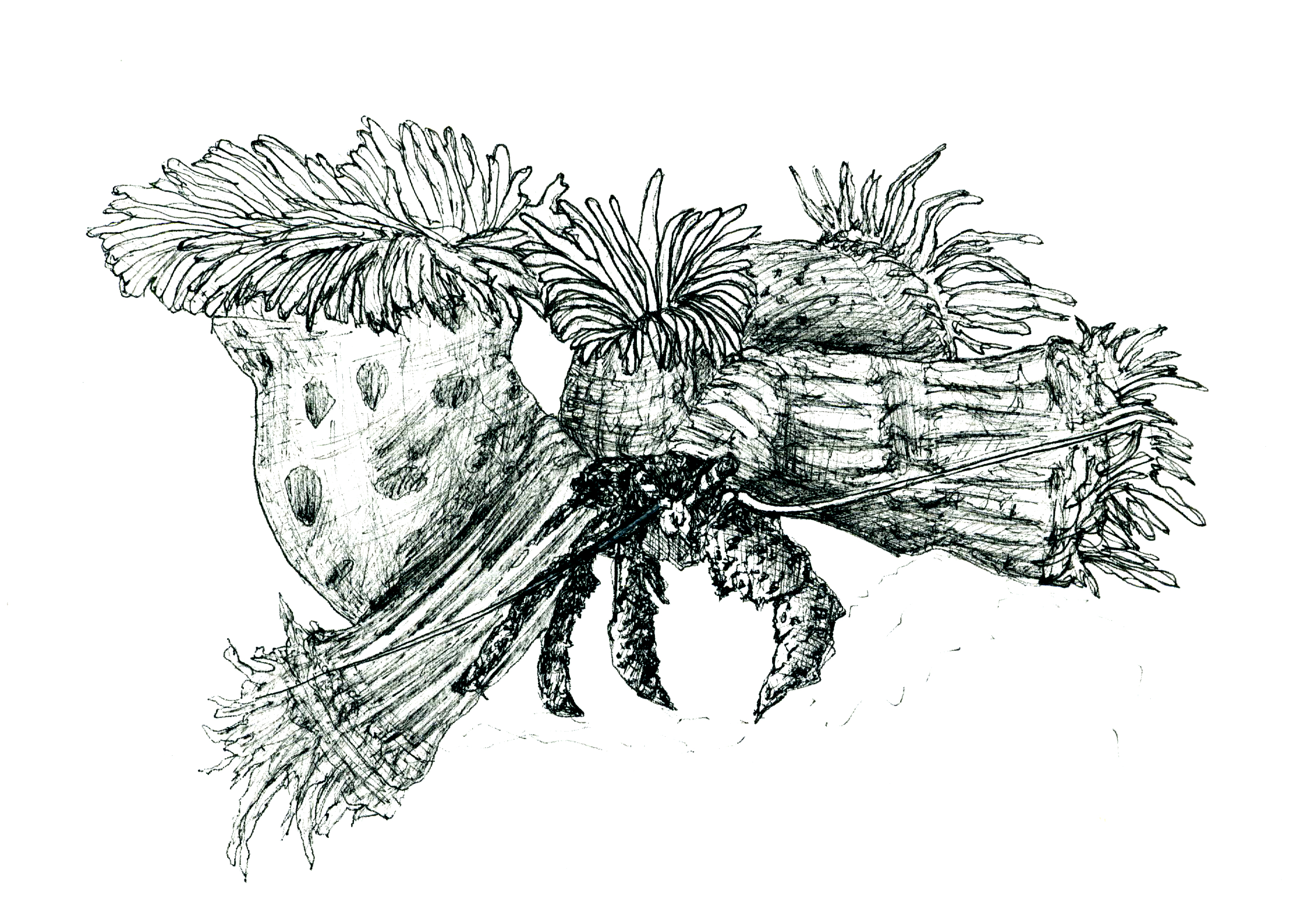 Especies peligrosas